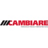 Cambiare Logo